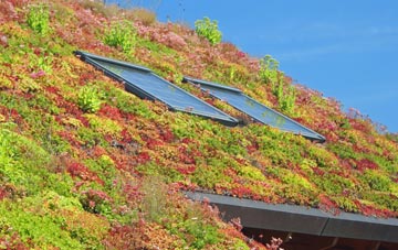 Ballycassidy living roof systems
